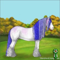 Horse Color:Watercolor White Spotted Sable Champagne Sabino