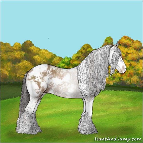 Horse Color:Classic Champagne Sabino 