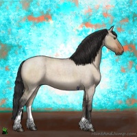 Horse Color:Brown Roan Dun Sabino 