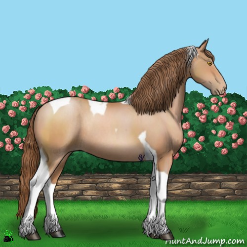 Horse Color:Bay Pearl Sabino Tobiano Rabicano 