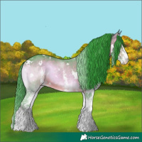 Horse Color:Watercolor White Spotted Bay Onyx 