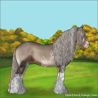 Horse Color:White Spotted Silver Blue Onyx 