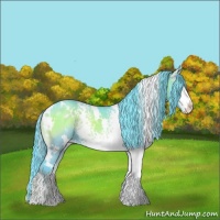 Horse Color:Watercolor White Spotted Blue Onyx 