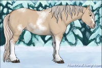 Horse Color:Silver Bay Dun Sabino Tobiano Frame Rabicano 
