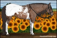 Horse Color:Buckskin Ice Tobiano Appaloosa 
