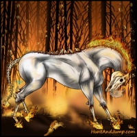 Horse Color:Silver Perlino Dun Appaloosa 