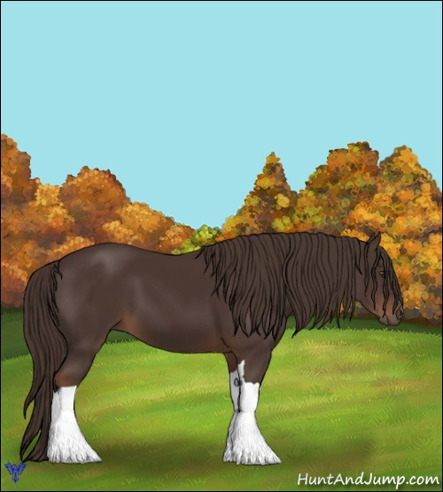 Horse Color:Liver Chestnut