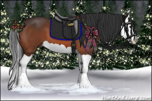 Horse Color:Bay Splash 