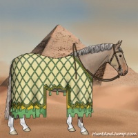 Horse Color:Silver Grullo Roan Rabicano 