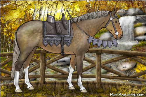 Horse Color:Silver Smoky Grullo 