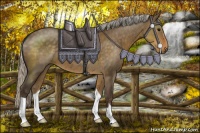 Horse Color:Silver Smoky Grullo
