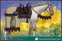 Horse Color:Silver Grullo Roan 