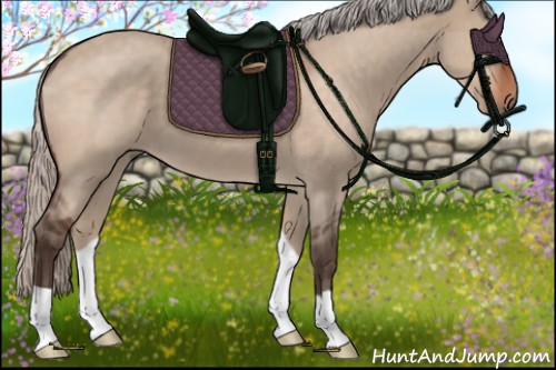 Horse Color:Silver Brown Roan Dun 