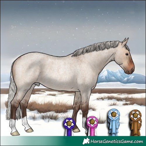 Horse Color:Silver Brown Roan Dun Rabicano 