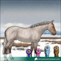 Horse Color:Silver Brown Roan Dun Rabicano 