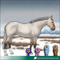 Horse Color:Silver Brown Roan Dun Rabicano