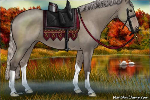 Horse Color:Silver Grullo 
