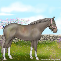 Horse Color:Silver Grullo 
