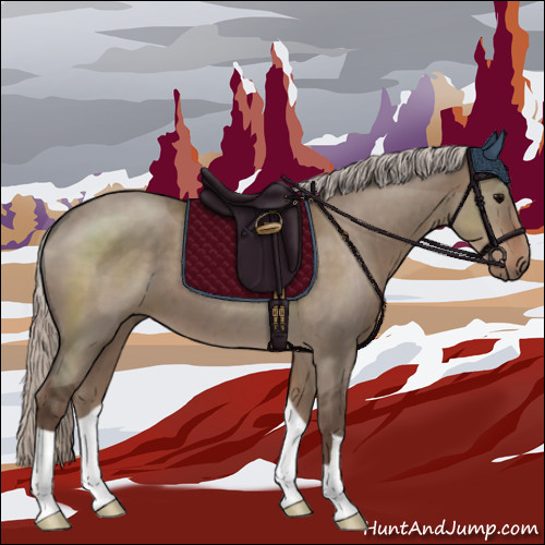 Horse Color:Silver Grullo 
