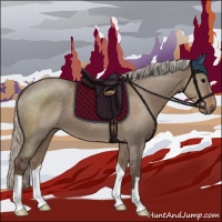 Horse Color:Silver Grullo 