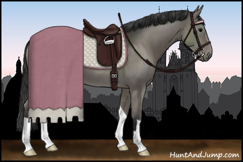 Horse Color:Grullo 