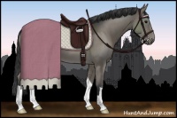 Horse Color:Grullo