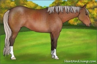 Horse Color:Silver Brown 
