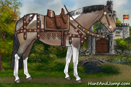 Horse Color:Brown Roan Tobiano 