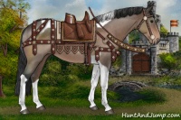 Horse Color:Brown Roan Tobiano 