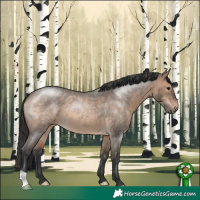Horse Color:Brown Roan Dun 