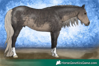 Horse Color:Silver Smoky Black 