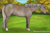 Horse Color:Silver Black 