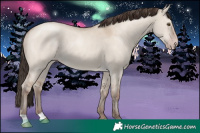 Horse Color:Classic Champagne Dun 