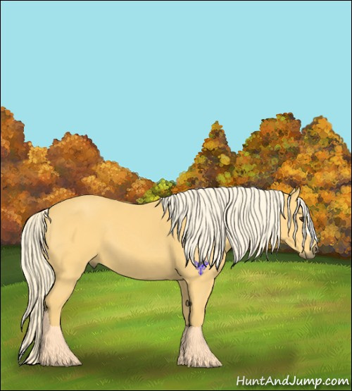 Horse Color:Palomino 