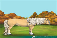 Horse Color:Palomino