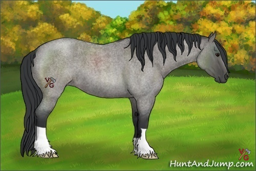 Horse Color:Grullo Roan 