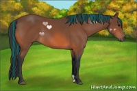 Horse Color:Painted Bay