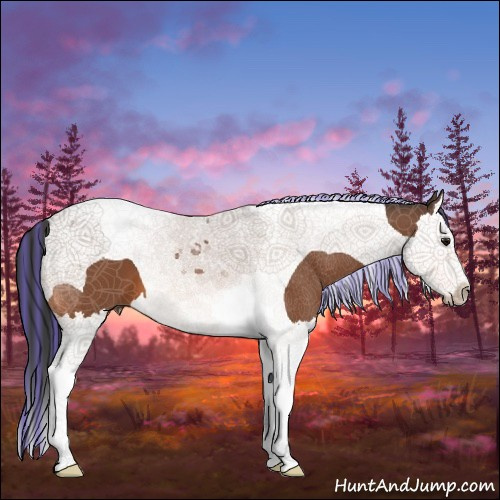 Horse Color:Painted Bay Splash Tobiano 