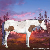 Horse Color:Painted Bay Splash Tobiano 