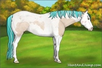 Horse Color:Painted Amber Champagne Dun Splash Tobiano 