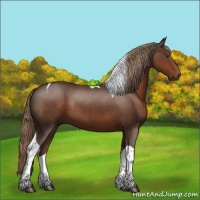 Horse Color:Liver Chestnut Tobiano Rabicano 
