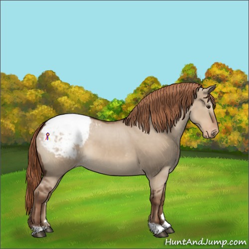 Horse Color:Liver Red Dun Snowcap