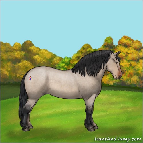 Horse Color:Brown Roan Dun 