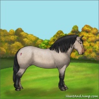 Horse Color:Brown Roan Dun 