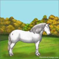 Horse Color:Perlino Roan Near Leopard 
