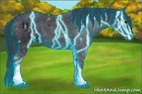 Horse Color:Thunderstruck White Spotted Black 