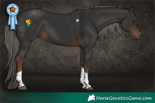 Horse Color:Liver Chestnut Mushroom Tobiano 