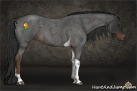 Horse Color:Liver Red Roan Tobiano 