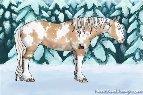 Horse Color:White Spotted Silver Brown Dun Splash 