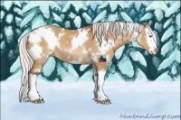 Horse Color:White Spotted Silver Brown Dun Splash 